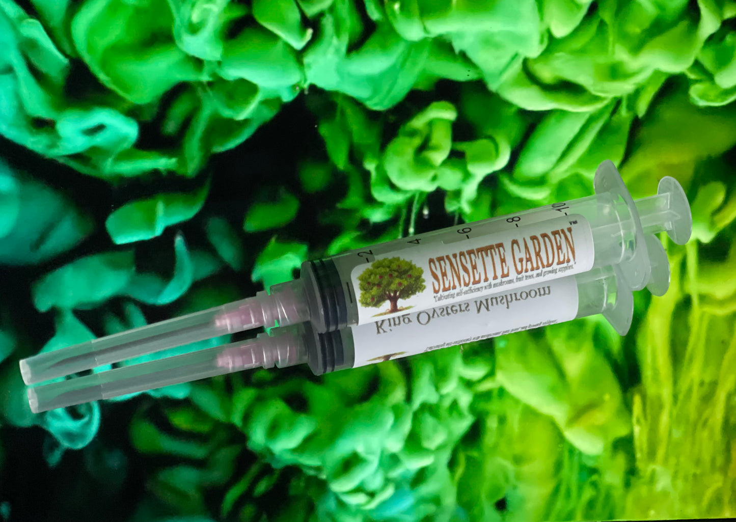 King Oyster Mushroom Liquid Culture