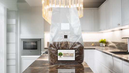 5 lb Sterilized Brown Rice Grain Spawn Bag with Injection Port – Ready-to-Inoculate